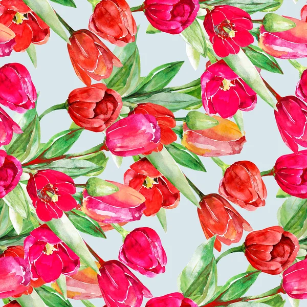 Червоні Тюльпани Безшовний Візерунок Зображення Білому Кольоровому Фоні — стокове фото