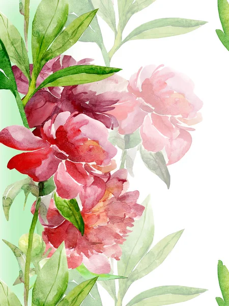 Peonies pattern, flowers watercolor illustration. Image on white and colored background.