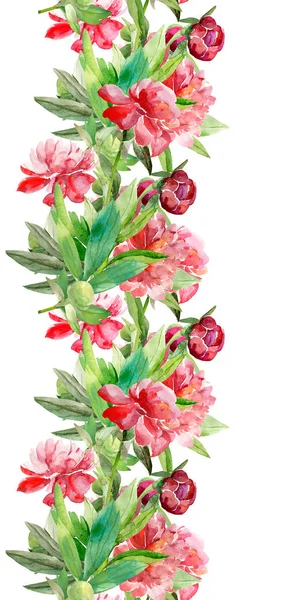Piwonie Bezszwowy Wzór Kwiaty Akwarela Ilustracji Obraz Białym Kolorowym Tle — Zdjęcie stockowe