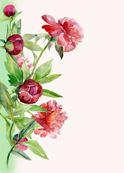 Padrão Peônias Flores Ilustração Aquarela Imagem Sobre Fundo Branco Colorido — Fotografia de Stock