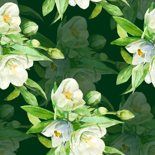 Naadloze Patroon Jasmijn Illustratie Witte Gekleurde Achtergrond — Stockfoto