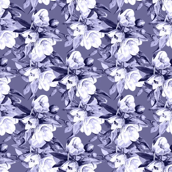 Nahtlose Muster Jasmin Illustration Auf Weißem Und Farbigem Hintergrund — Stockfoto