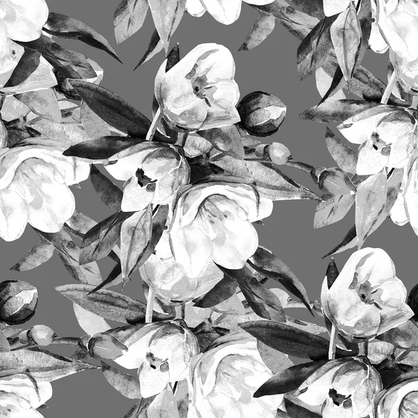 Seamless Pattern Jasmines Illustration White Colored Background — Stock Photo, Image