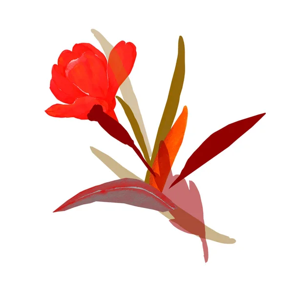 Graphic Image Decorative Tulips Illustration White Colored Background Pattern — Stockfoto