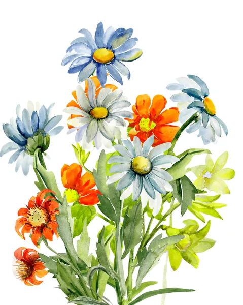Візерунок Ромашок Інших Квітів — стокове фото