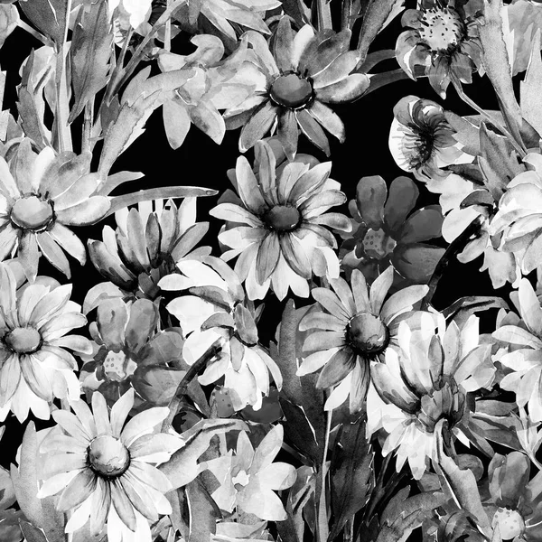 Шаблон Бесшовные Маргаритки Другие Цветы — стоковое фото