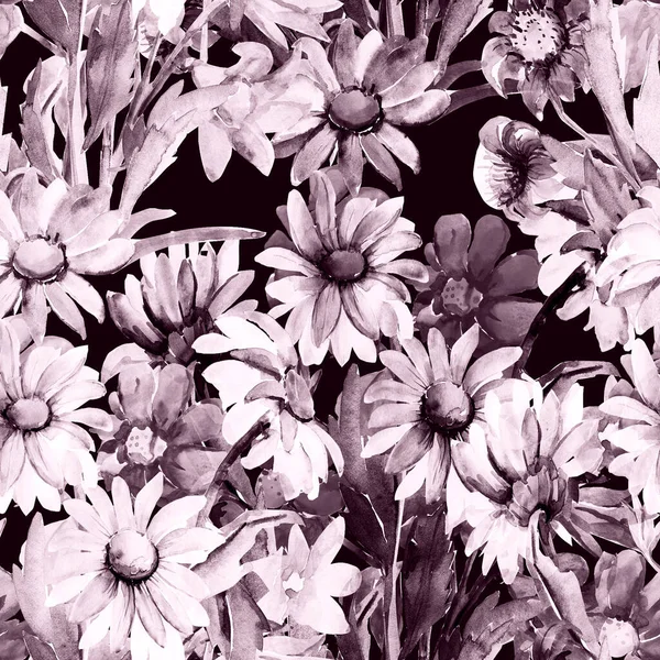 Seamless Pattern Daisies Other Flowers1W — Stok fotoğraf