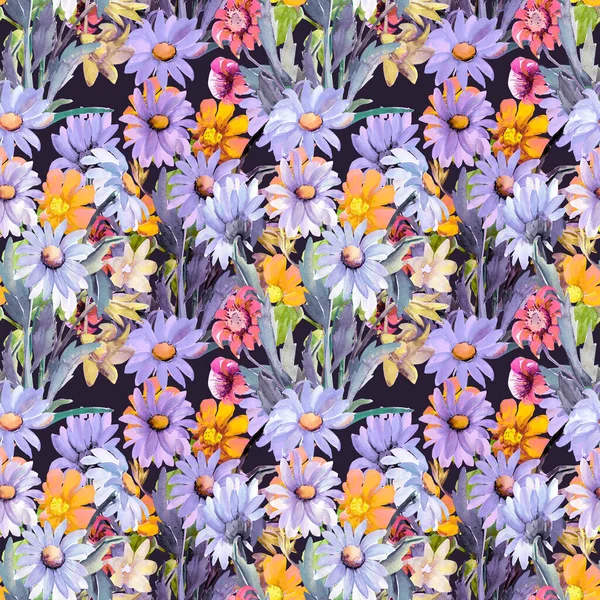 Seamless Pattern Daisies Other Flowers1W — Stok fotoğraf