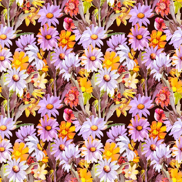 Seamless Pattern Daisies Other Flowers1W — Stok fotoğraf