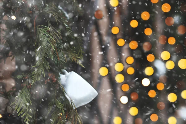 Showcase Decorated Glowing Garland Spruce Branches Empty Space — стоковое фото