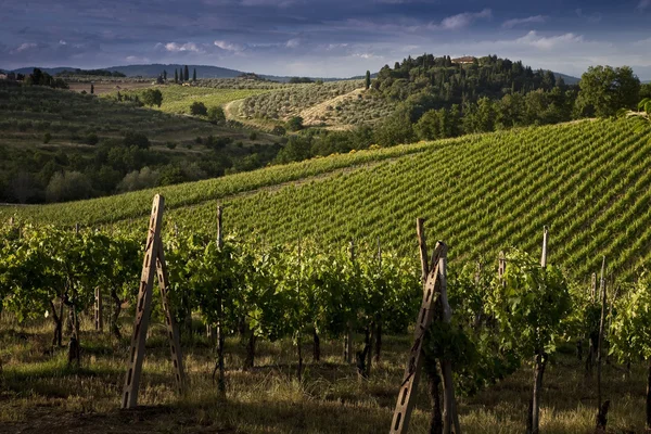 Tuscan hills — Stock Photo, Image