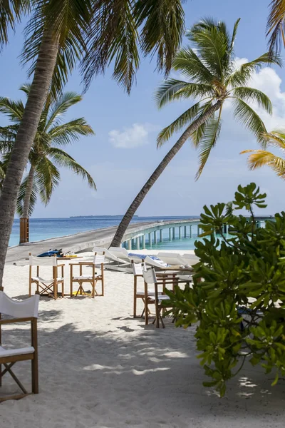 Beach in the Maldives — Stock Photo, Image