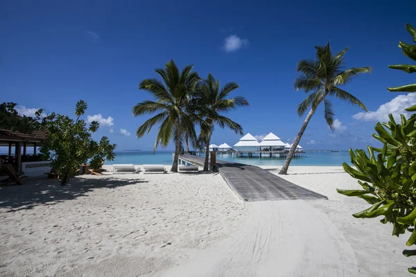 Tropischer Strand auf den Malediven — Stockfoto