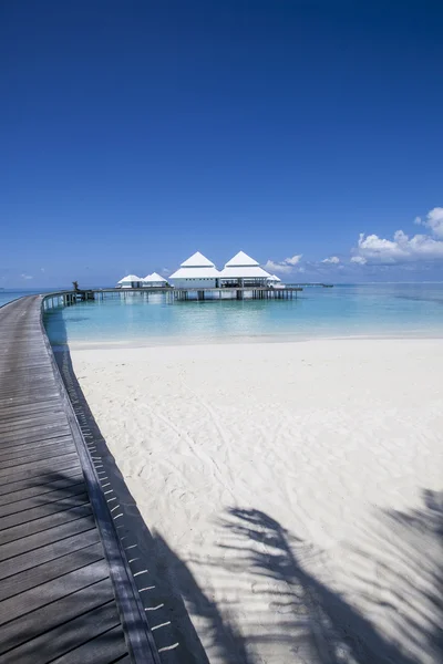 Playa tropical en las Maldivas — Foto de Stock