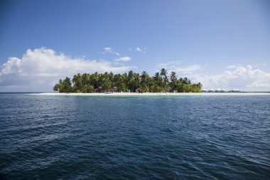 Maldivlerde kumsal