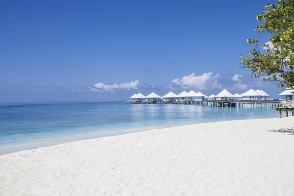 Пляж на Мальдивах — стоковое фото