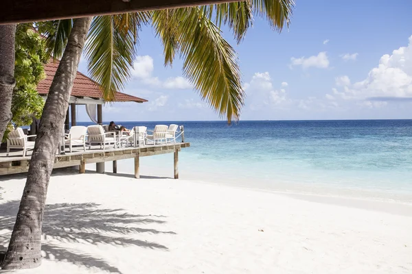 Beach in the Maldives — Stock Photo, Image