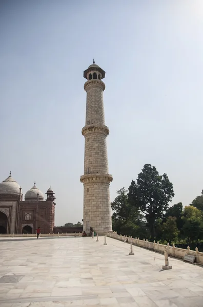 Taj mahal — Stock Photo, Image