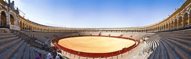 Arena arena plaza de toros