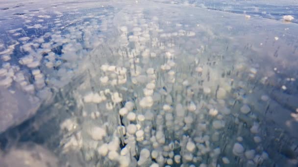A lot of white bubbles frosted in crystal deep blue ice. Frozen lake. Wintertime — Stock Video