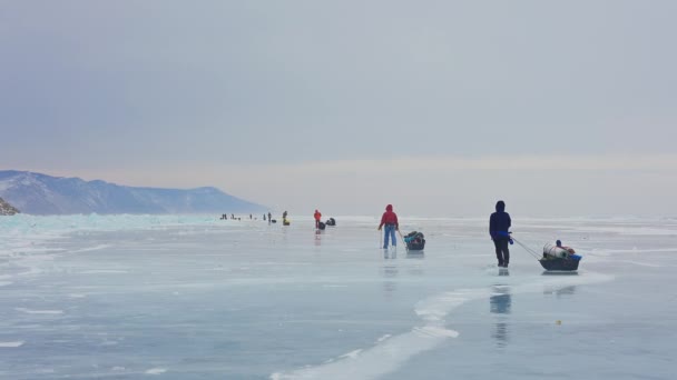 Fila de turistas con trineos equipados se mueven sobre hielo congelado. Senderismo de invierno — Vídeo de stock