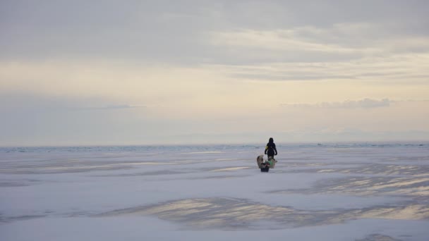 Man met sledehond loopt weg naar mistige horizon over sneeuwstorm op bevroren ijs — Stockvideo