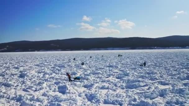 Полет с воздуха. Туристы с собаками-санями проходят через бесконечное снежное поле. — стоковое видео