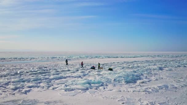 Havadan panorama görüntüsü. Kızak köpekleri ile keşif gezisi kar buzu Hummock tarlasından geçiyor. — Stok video