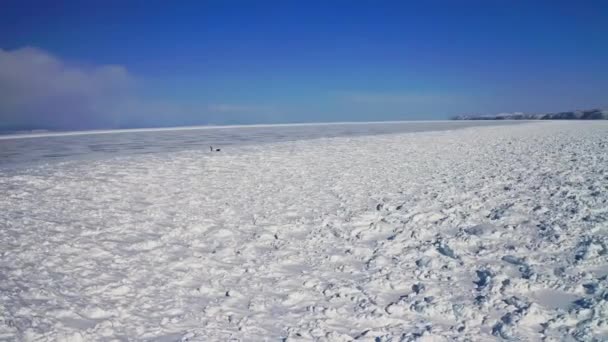 Círculo aéreo vista panning, turista sozinho vir sobre campo de neve ampla hummock — Vídeo de Stock