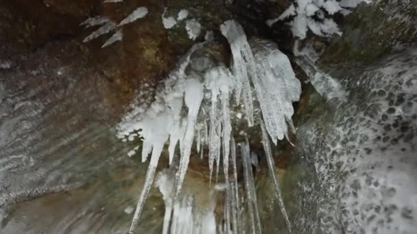 Witte ijspegels hangen aan het plafond van de grot. Stalactieten gevormd uit bevroren water — Stockvideo