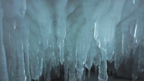 Rows of clear white icicles hang on inside ice cave. Frozen water formations — Stock Video