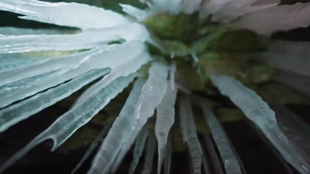 Long sharp icicles hang in cave. Ice spikes illuminated with white led light — Stock Video