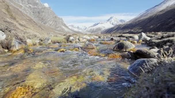 Холодная мелководная река течет над мокрыми серыми камнями рядом со снежной горной цепью — стоковое видео