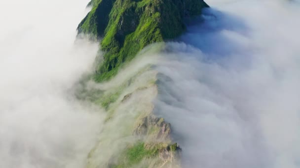พาโนรามาเหนือหัวที่ยอดเยี่ยม เมฆสีขาวหนาแน่นคลานเหนือเทือกเขาสีเขียว — วีดีโอสต็อก