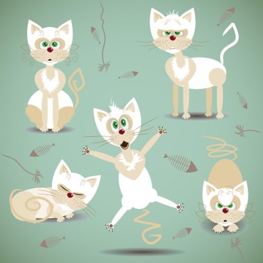 vektör çizim seti beyaz kedi ile