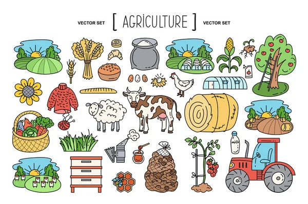 Vector Mão Desenhada Definir Sobre Tema Indústria Agrícola Agricultura Agricultura — Vetor de Stock