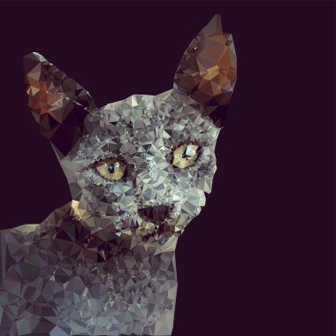 Kedi geometrik tasarım