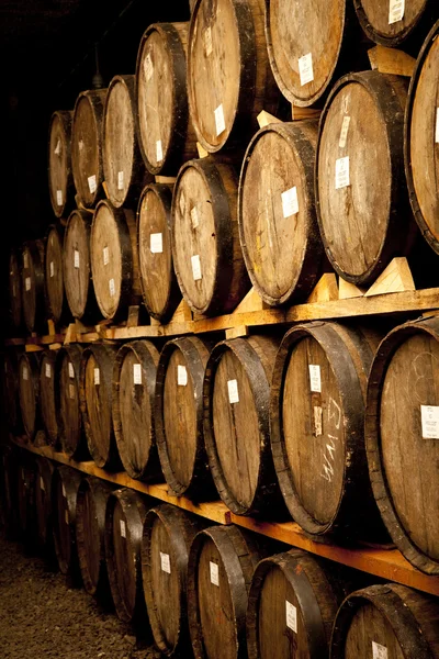 Wine barrels — Stock Photo, Image