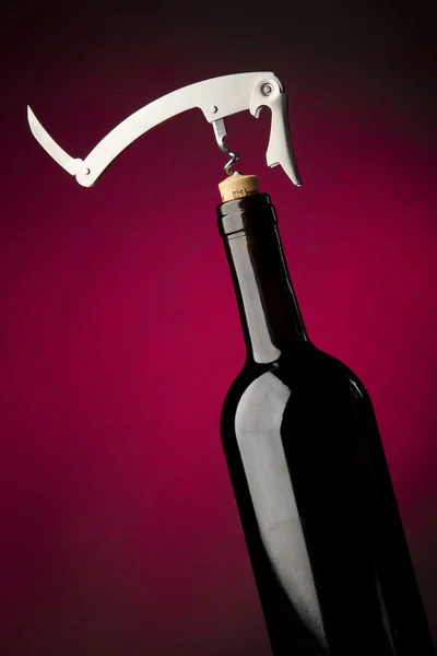 Flasche und Weinglas — Stockfoto