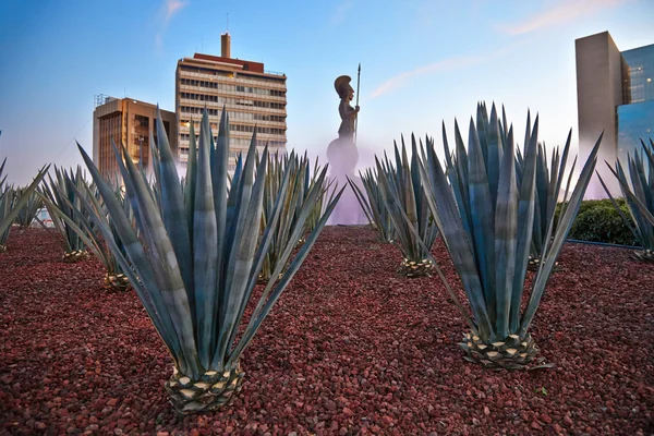 La minerva Guadalajara