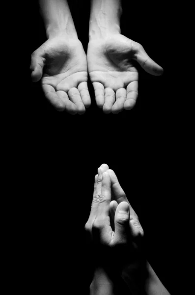 Praying Hands color — Stock Photo, Image