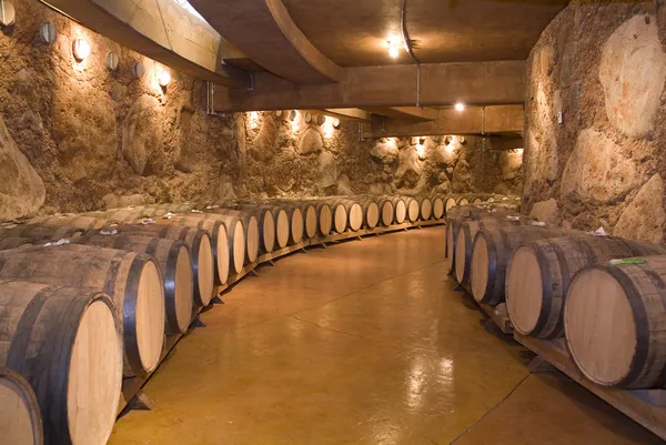 Barricas de vino Imagen De Stock