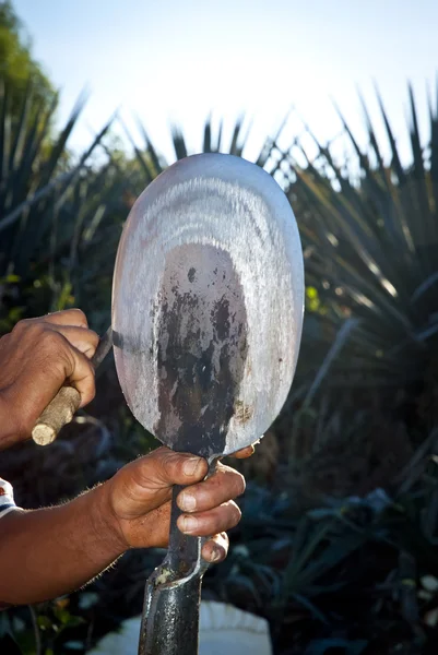 Ein Mann arbeitet in der Tequila-Industrie — Stockfoto