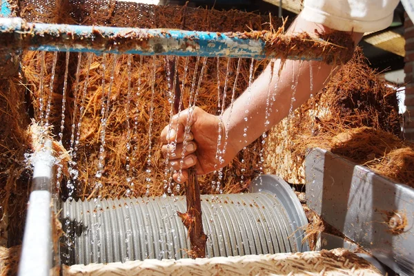 Trabalhadores da tequila — Fotografia de Stock