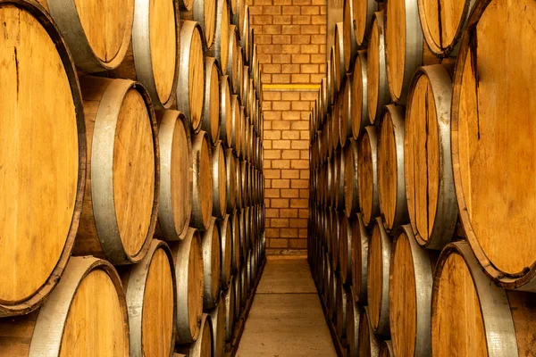 Barils Vin Empilés Dans Ancienne Cave Cave — Photo