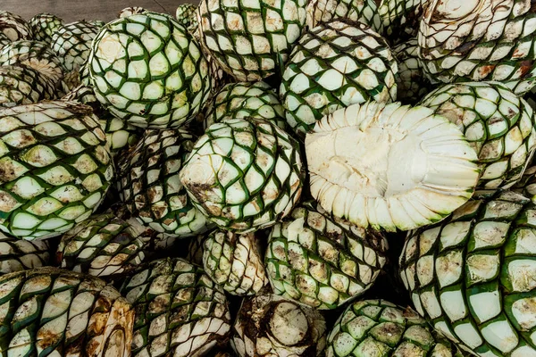 Agave Ananas Klaar Voor Productie Van Mezcal Tequila Mexico — Stockfoto
