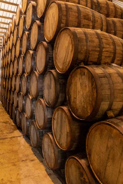 Wine Barrels Stacked Old Cellar Winery — Stock Photo, Image