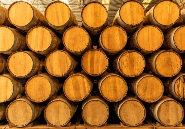 Wine Barrels Stacked Old Cellar Winery — Stock Photo, Image