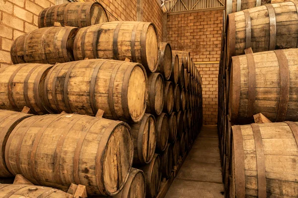 Şaraphanenin Eski Mahzenine Istiflenmiş Şarap Fıçıları — Stok fotoğraf