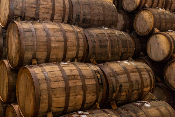 Wine barrels stacked in the old cellar of the winery.